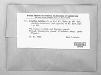 Image Associated With the Occurence